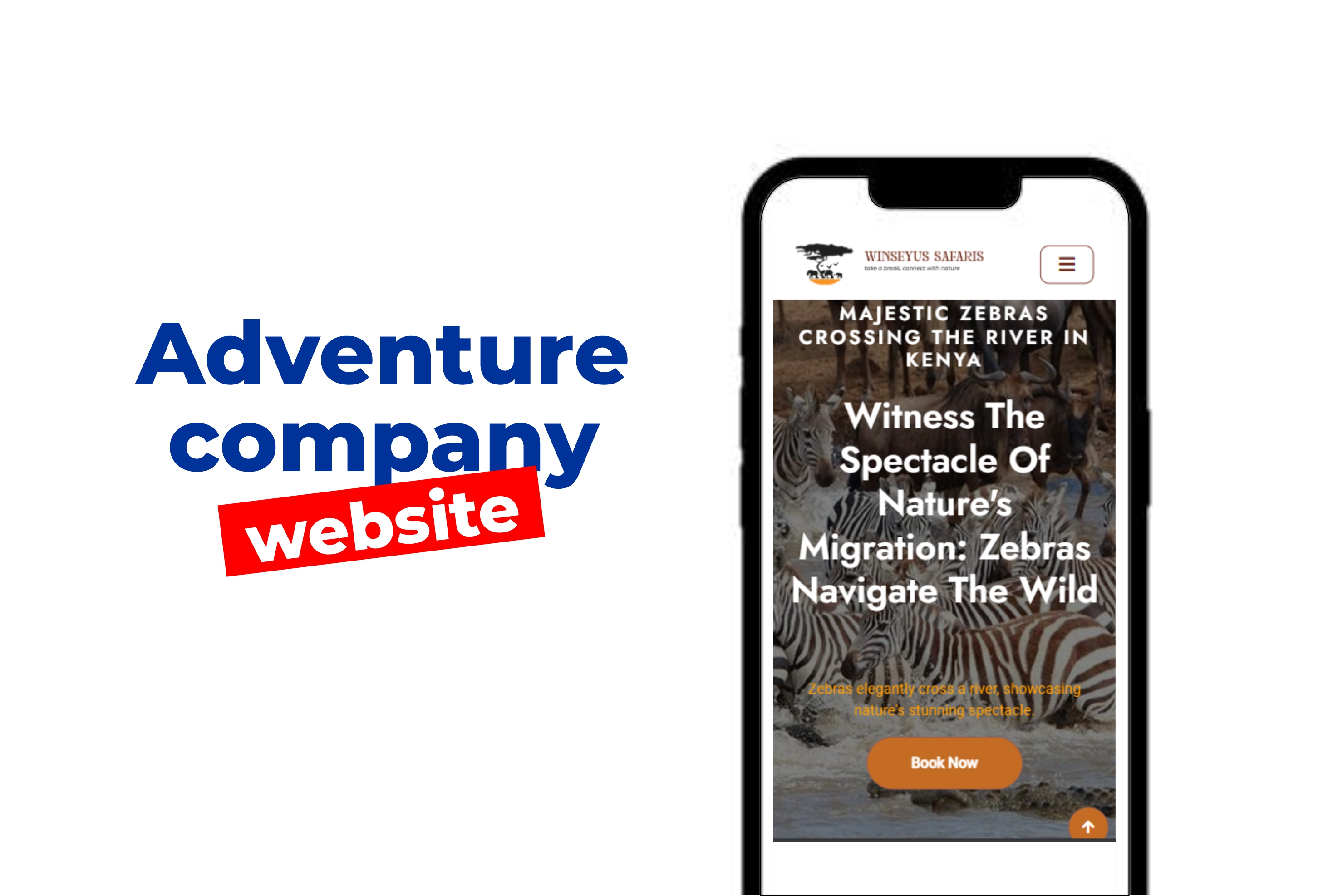 Tours and Travel Company Websites